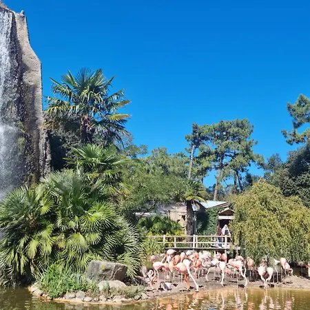 Proche Apartment Royan