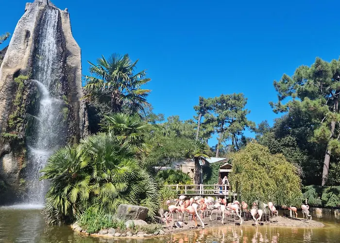 Proche Apartment Royan